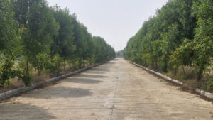 SubhaSankalpa infra Open Plots Gallery Green rich homes view 5