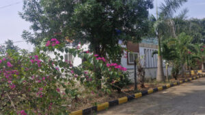 SubhaSankalpa infra Open Plots Gallery Green rich homes view 